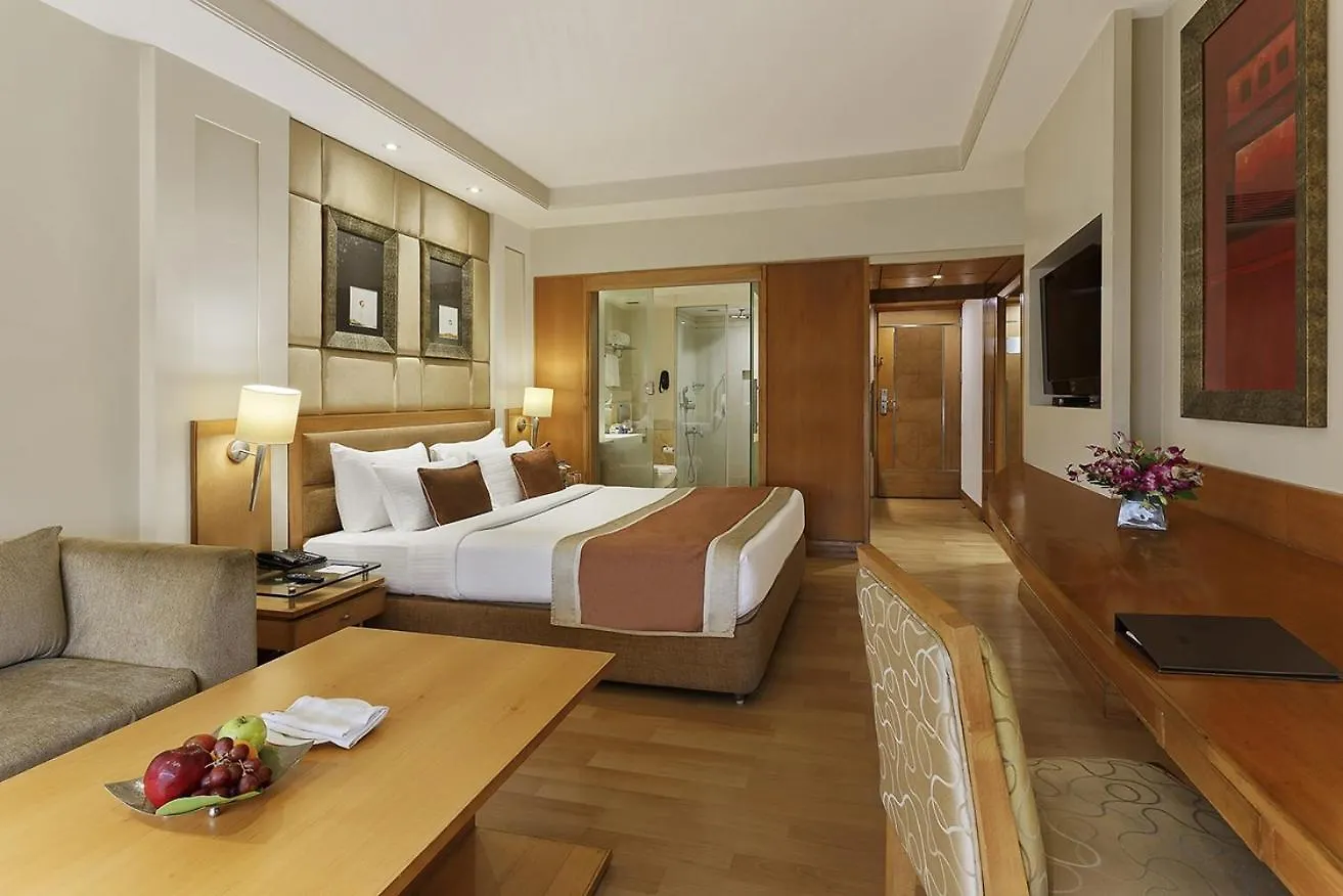 Hotel Royal Infinity Near Delhi Airport New Delhi