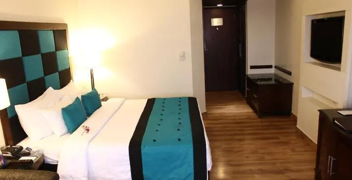 Hotel Royal Infinity Near Delhi Airport New Delhi 4*,