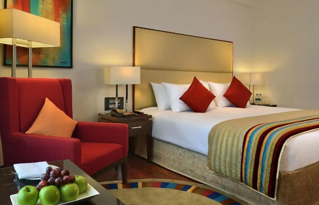 ****  Hotel Royal Infinity Near Delhi Airport New Delhi India